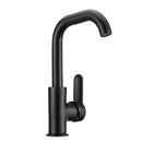 Black Copper Paint Basin Hot and Cold Faucet Kitchen Sink Rotatable Water Tap