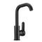 Black Copper Paint Basin Hot and Cold Faucet Kitchen Sink Rotatable Water Tap