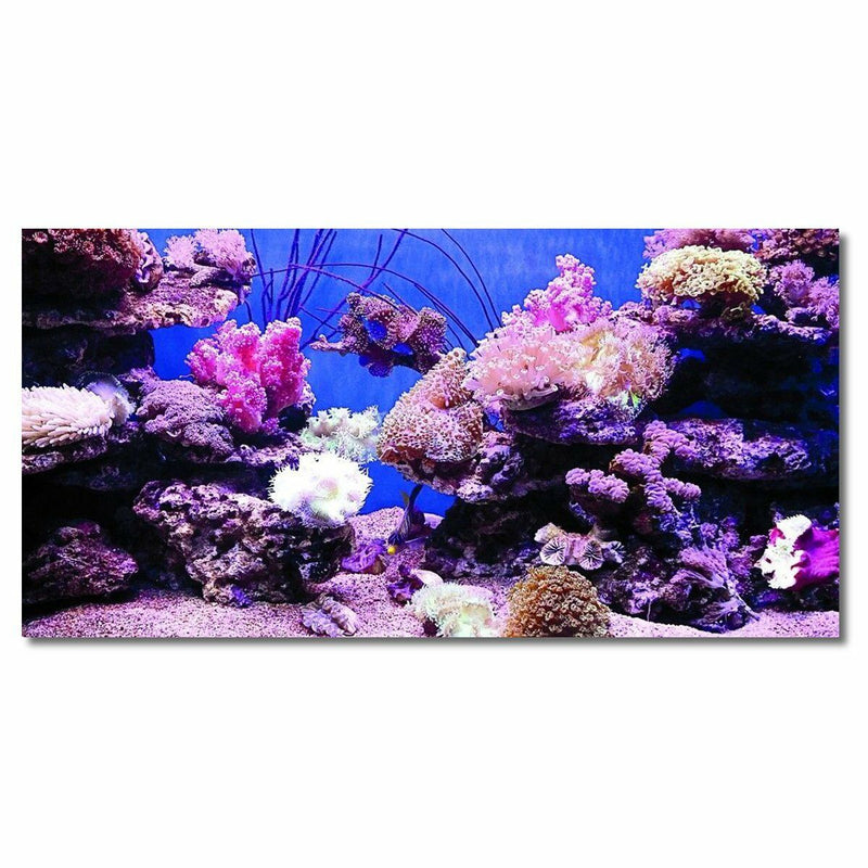 Coral HD Aquarium Background Poster Fish Tank Decorations Landscape Self