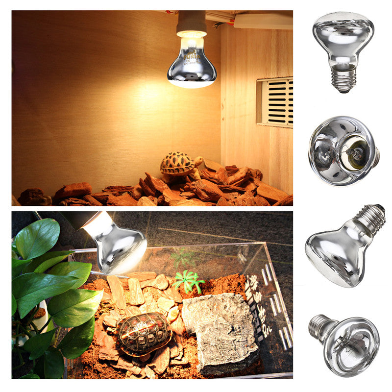 E27 25/40/50/60/75/100W R63 Amphibian UVA Halogen Lamp Heat Reptile Light Bulb AC220-240V
