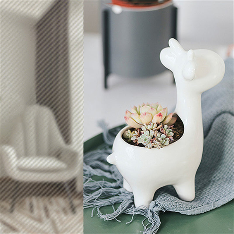 Ceramic Succulent Plant Container Flower Pot Planter Holder Vase Animal Shape Decorations