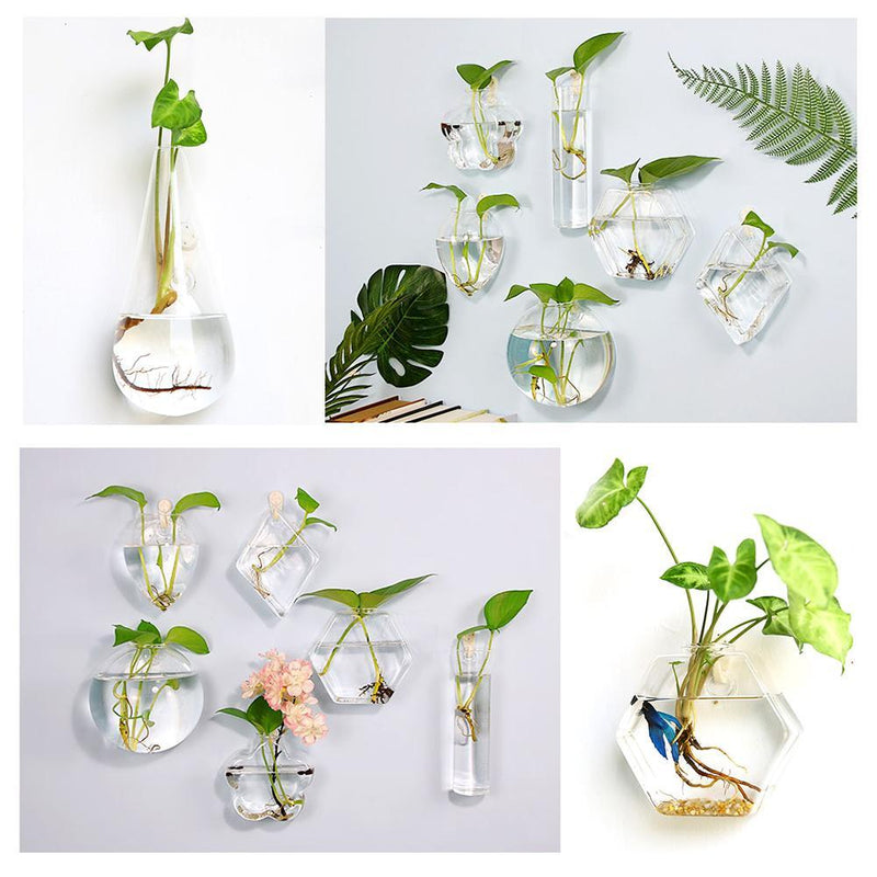 Irregular Wall Hanging Glass Planter Air Plant Terrarium Flower Pots Vase
