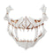 Halloween Resin Mask Animal Theme Party Face Skull Mask Costume Cosplay Party