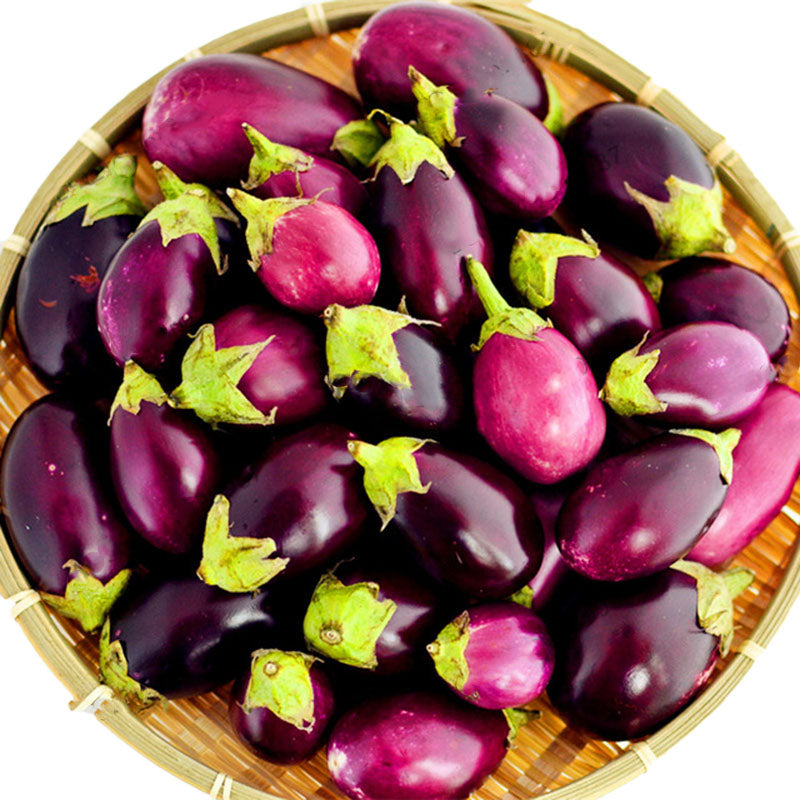 Egrow 200PCS/Pack Eggplant Seeds Red Eggplant Bonsai Outdoor Vegetable Plant For Home Garden