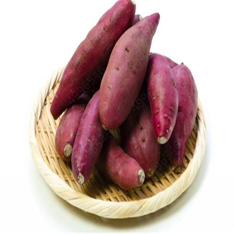 Egrow 100 Pcs/Pack Purple Sweet Potato Seeds Potato Delicious Green Nutrition NO GMO Vegetables Plant Home Garden