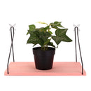 Pink Household Wooden Hanging Holder Wall Mount Rack Creative Home Hooks