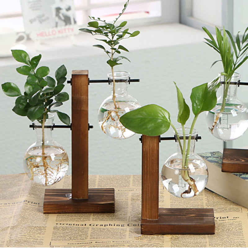 Tabletop Desk Decor Bulb Glass Hydroponic Vase Flower Plant Pot  Wooden Tray Hydroponic System