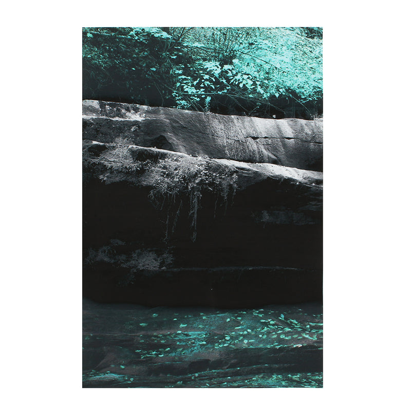 4PCS Forest Falls Wall Paintings Home Modern Art Nature Unframed Picture Decor