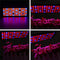 10W 75 LED Aluminum Grow Light for Plant Vegetable Indoor Hydroponic AC85-265V