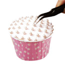 2pcs Muti-funtion Anti-static Elbow and Straight Stainless Steel Tweezer Cake Plier Sugarcraft Tool