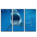 Miico Hand Painted Three Combination Decorative Paintings  White Shark Wall Art For Home Decoration