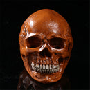 Life Size Human Anatomical Anatomy Resin Skull Head Skeleton Medical Teaching Model