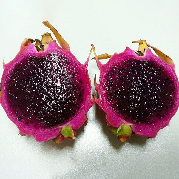 Egrow 50 Pcs/Pack Pitaya Seeds Red White Dragon Fruit Tree Seed for Outdoor Courtyard Plants