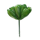 10Pcs PVC Artificial Succulent Flocking Plants Foliage  Landscape Garden Decorations