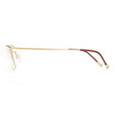 BROADISION Titanium Alloy Glasses Frame IP Vacuum Plating Process Flexible Unbreakable Temple
