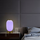 3D Print Smart WiFi Table Lamp Alexa Google Home Colorful LED Bedside Night Light Voice Control APP Control