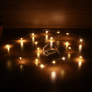 LUSTREON DC3V Warm White Yellow 2M Silver Wire Turn On LED String Light for Christmas Holiday Vase Decor