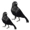 Raven Halloween Party Crow Bird Decorations Prop Stuffed Feather Blackbird Decor
