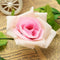 2.4m Artificial Plastic Rose Flower Green Leaves Garland Home Garden Wedding Party Decorations