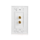 2 Posts Speaker Wall Plate Home Theater Wall Plate Audio Panel for 1 Speake