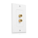2 Posts Speaker Wall Plate Home Theater Wall Plate Audio Panel for 1 Speake