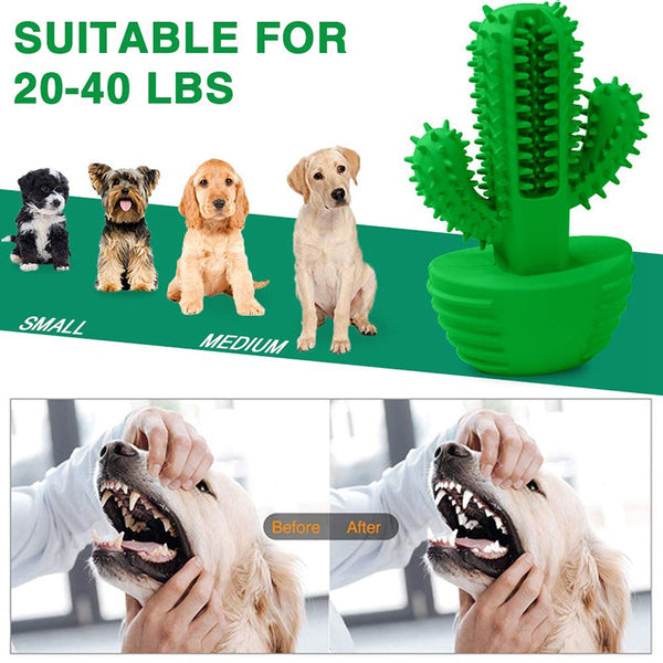 Dog Teeth Cleaning Toys Natural Rubber Dog Toothbrush Stick Effective Dog T