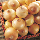 Egrow 300 Pcs/Pack Giant Onion Seeds Vegetable Seed Kitchen Food Seasoner Potted Plants