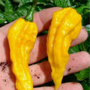Egrow 100 Pcs/Pack Pimento Seeds Yellow Sweet Bell Hot Pepper Bonsai Vegetables Paprika Bonsai Plant for Home Garden