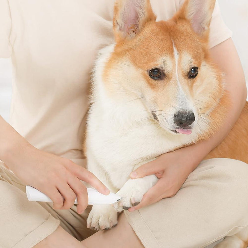 Powbby MG-FP001 Pet Hair Shaver Safety Cutter Head Low Noise Dog Hair Precise Trimmer Pet Hair Grooming From Xiaomi Youpin