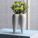 7x10cm Tooth Shape Flower Pot Succulent Plant Storage Ceramic Gardening Potted Creative Home Decor