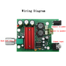 TPA3116D2 DC 8V To 25V 100W Single / Dual Channnel Digital Amplifier Board Subwoofer Amplifier Board