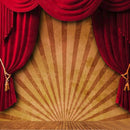 10x10FT Circus Red Curtain Stage Photography Backdrop Studio Prop Background