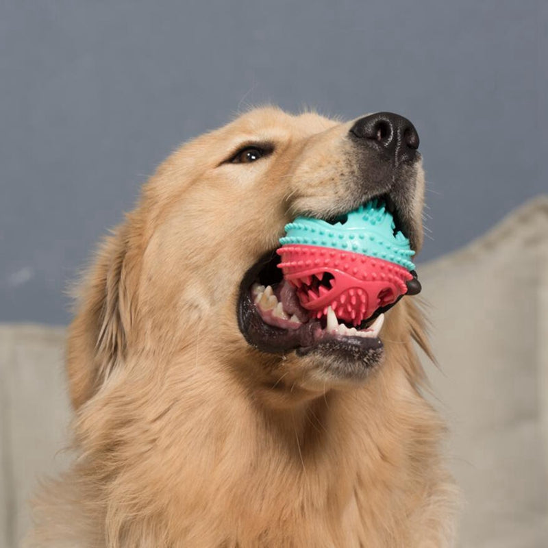 Dog Toys Toothbrush IQ Treat Dispensing Ball Rope Safe Teeth Cleaning Pet C