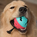 Dog Toys Toothbrush IQ Treat Dispensing Ball Rope Safe Teeth Cleaning Pet C