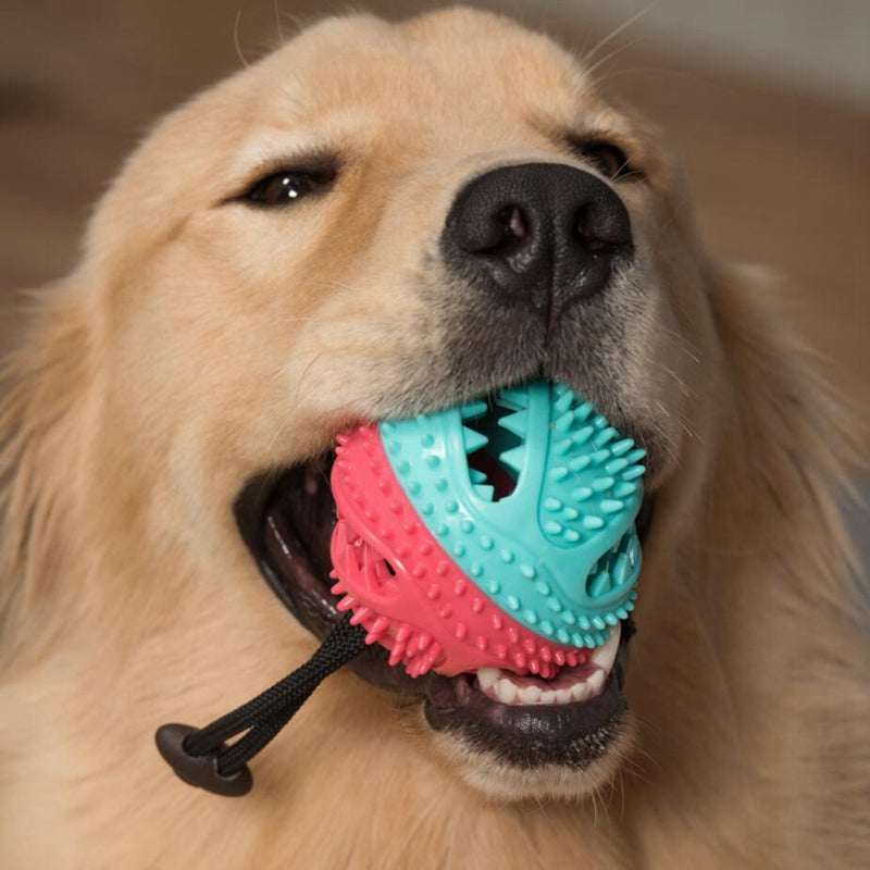 Dog Toys Toothbrush IQ Treat Dispensing Ball Rope Safe Teeth Cleaning Pet C