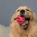 Dog Toys Toothbrush IQ Treat Dispensing Ball Rope Safe Teeth Cleaning Pet C