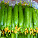 Egrow 20 Pcs/Pack Dutch Cucumber Cuke Seeds Green Vegetables Seed For Home Garden Planting