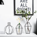 Glass Test Tube Flower Plant Pot Vases Fairy Hydroponic Vase Terrarium Container