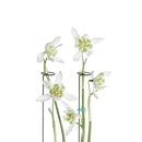 5 Pack Garden Plant Support Stakes Single Stem Support Stake Plant Cage Sup