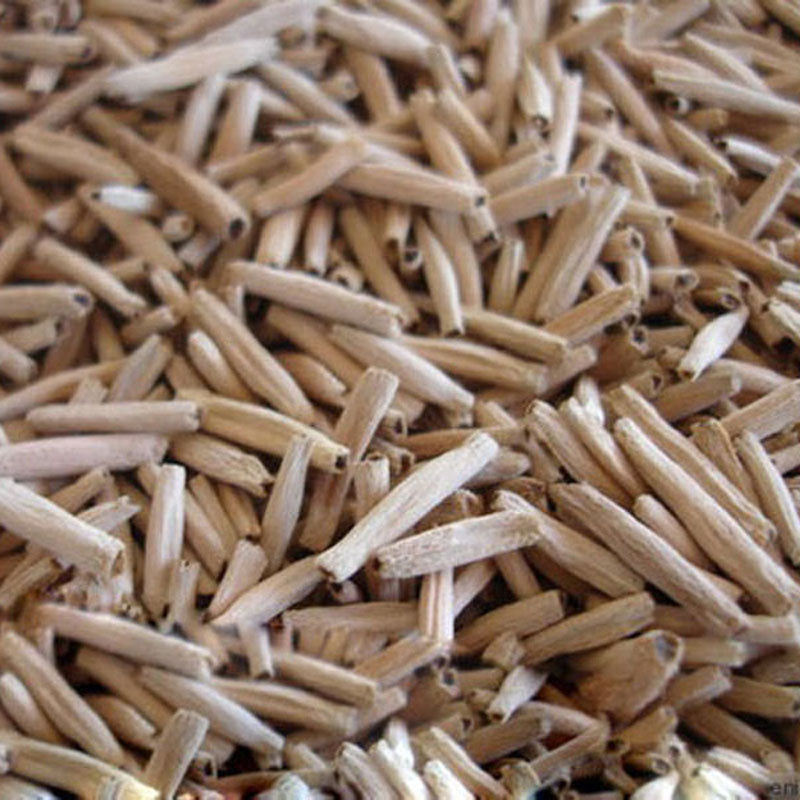 Egrow 1Pcs/Pack Rose Seeds Desert Rose Scarce Grafted Variegated Leaves Petals Home Garden Flowers Adenium Obesum