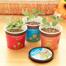 Creative Micro Landscape Mini Cute Little Flower Pot DIY Small Bonsai Plantas Ecological Plant Seeds For Home Garden Decor