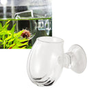 Aquarium Fish Tank Aquatic Plant Clear Glass Cup Holder + Sucker