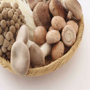 Egrow 50 Pcs/Pack Edible Health Mushrooom Seeds Orangic Vegetable Plants Seeds