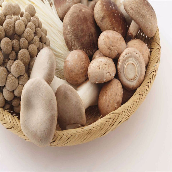 Egrow 50 Pcs/Pack Edible Health Mushrooom Seeds Orangic Vegetable Plants Seeds