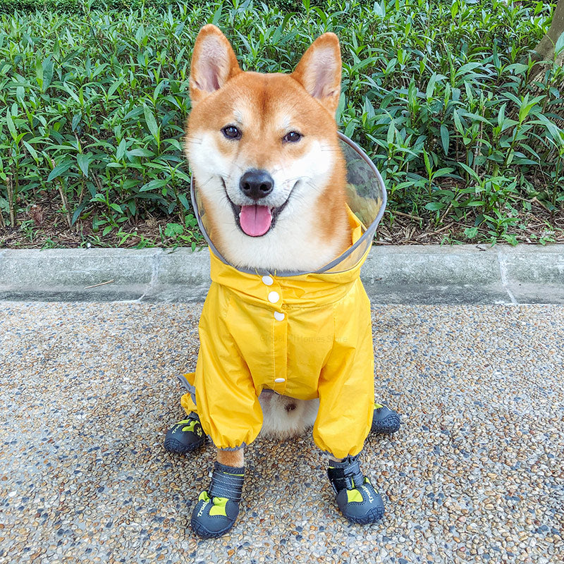 Pet Dog Raincoat Four Feet Waterproof PetS Articles Clothing Spring Suitable For Rainy Days From Xiaomi Youpin