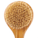 Honana BX Natural Bristle Cleaning Brushes Long Anti-slip Wooden Handle Body Brush Massage