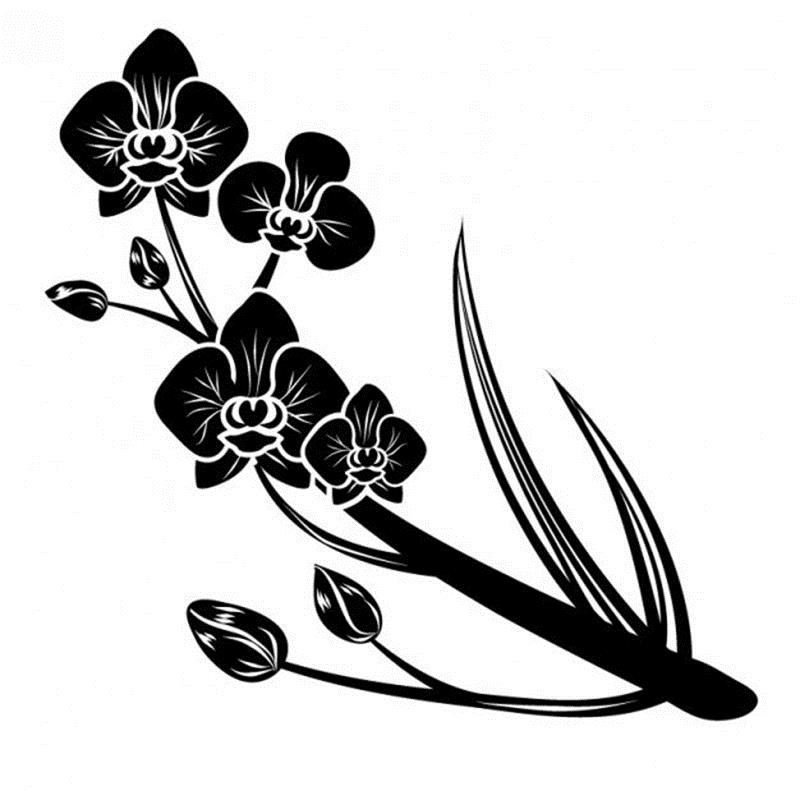 Egrow 100 PCS Rare Black Orchid Flower Seeds Exotic Orchid Home Garden Bonsai Planting Seeds