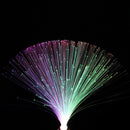 Multicolor Changing LED Fiber Nightlight Lamp Small Night Light Colorful Fiber Optic Lamp