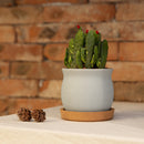 Xianger 3Pcs Natural Cork Coasters Multifunctional Coffee Pads Table Cup Mat Restaurant Cafe Supplies Eco Friendly from Xiaomi Youpin