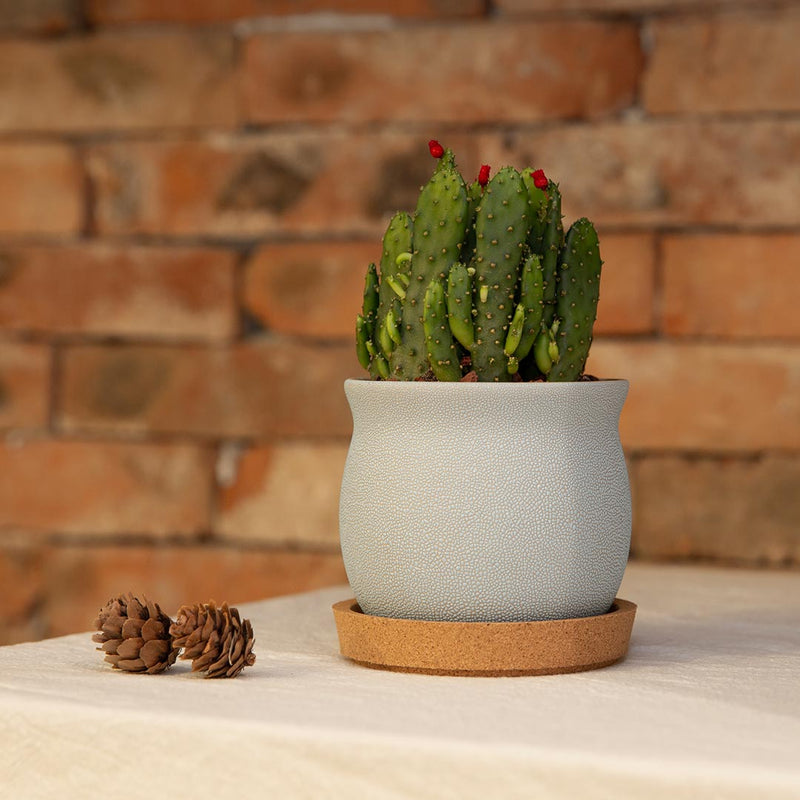 Xianger 3Pcs Natural Cork Coasters Multifunctional Coffee Pads Table Cup Mat Restaurant Cafe Supplies Eco Friendly from Xiaomi Youpin